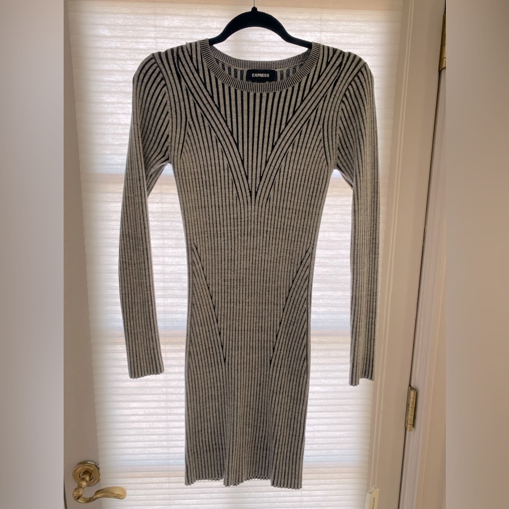 Express sweater dress